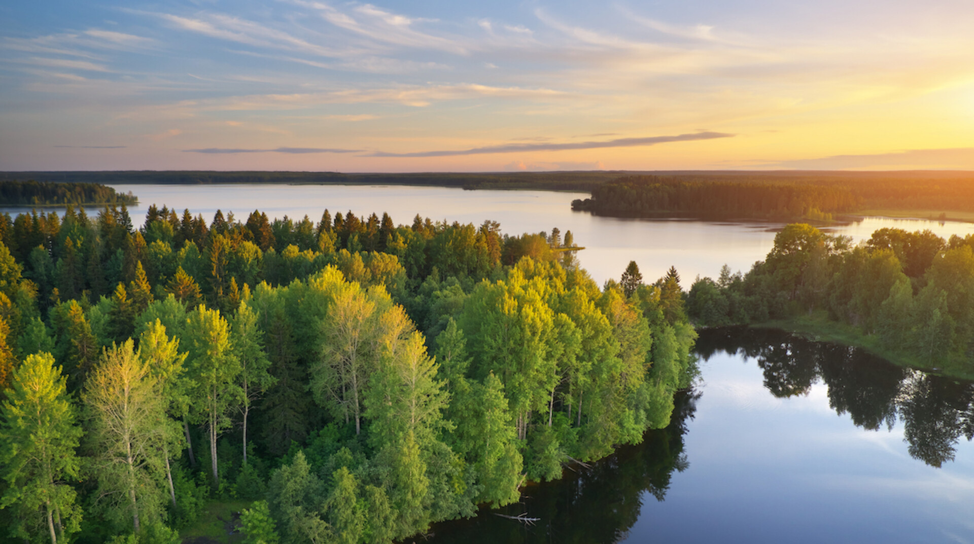 Lake and forest during sunset.