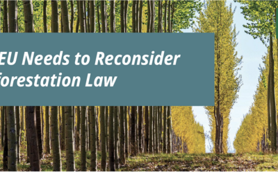 EU Anti-Deforestation Law Explainer Handout